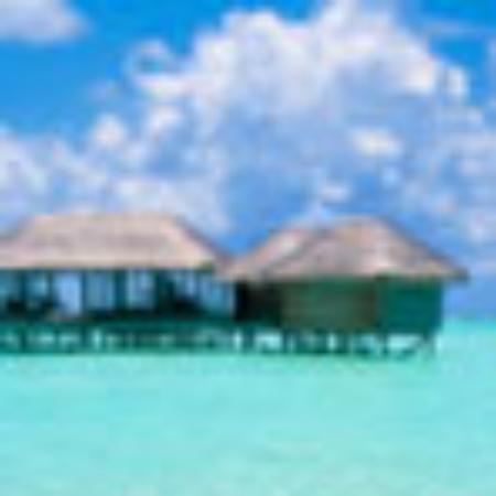 Fullerton Restaurant